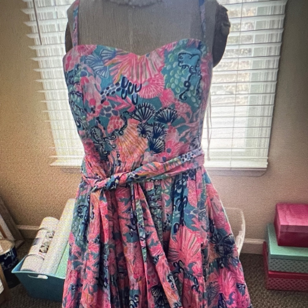 Lilly Pulitzer Edith Dress Multi Splendor In The Sand 8